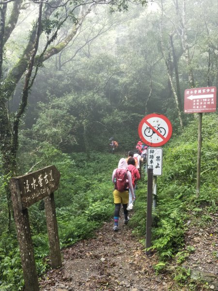 浸水營古道2374029