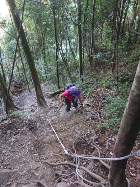 水社大山，金龍曙光及琉璃光1945076