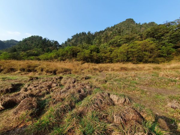 中級山-松蘿湖2888461