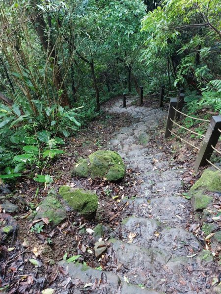 朝山步道-天上山-承天禪寺2322474