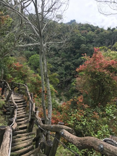 頭嵙山攻頂577439