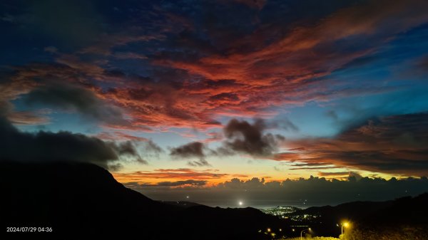 雲山水花鳥蝶 - 天龍國阿伯的日常7/18 & 21、22、292559963