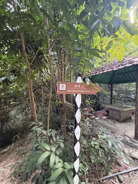 20251109棚集山步道2935226