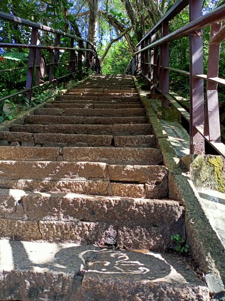 【南山神壽任務尋寶趣】國際化的象山親山步道1596462