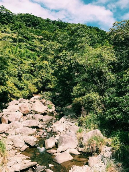 坪頂古圳親山步道177634