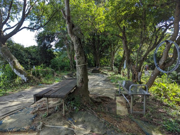 2023-08-26 臺北大縱走第六段2792742