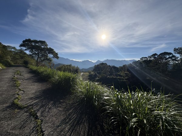 20251207藤枝山步道2957620