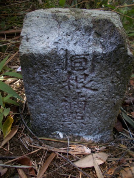 麥樹仁山縱走六畜山1171271