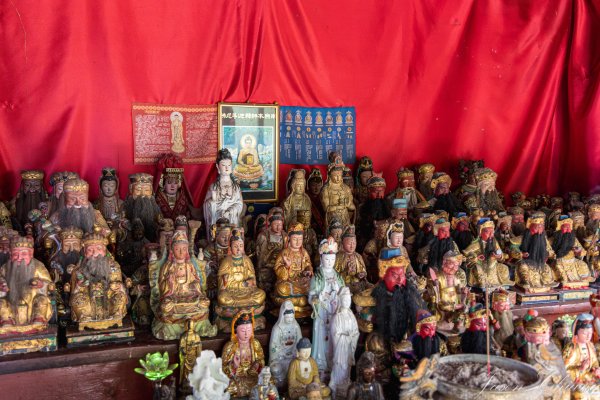 [台北]虎山親山步道、九五峰、南港山2911307