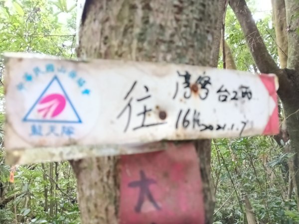 雙溪區石壁坑橋+平林山+武山煤礦土地公+上林山稜線+彎穹越嶺古道+石壁坑橋O型2991295
