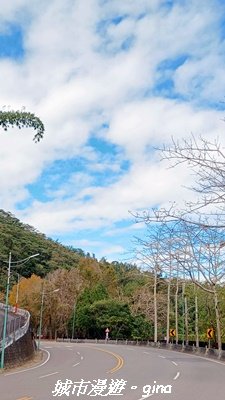 【南投魚池】悠遊騎乘。日月潭自行車環湖步道2961469