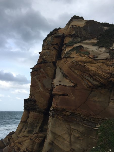 野柳山_駱駝峰稜線_維納斯海岸踏風健走2362515