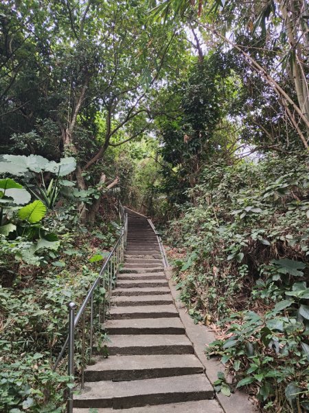 2023.12.23 高雄大崗山2834927