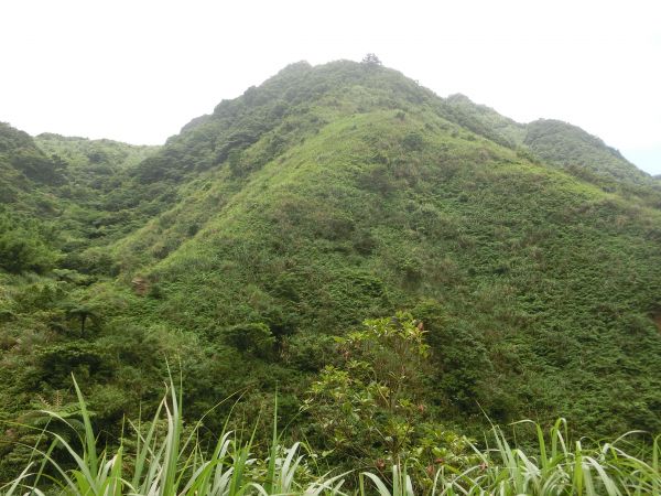 貂山古道．百二崁古道．樹梅坪古道134072