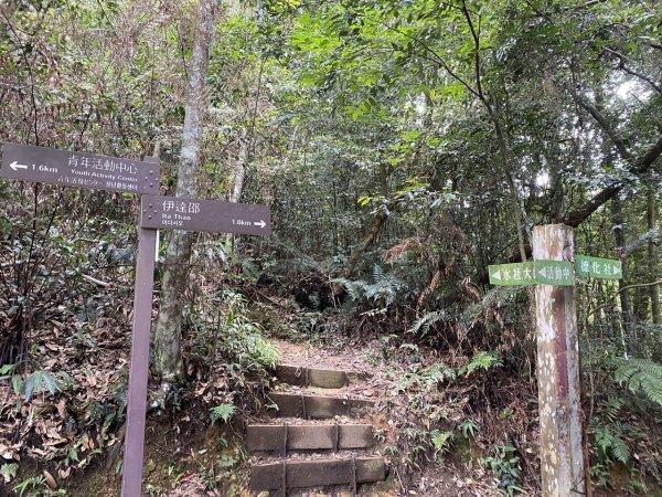 水社大山3060083