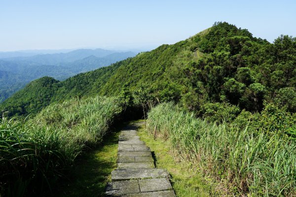 新北 平溪 頂子寮山、五分山3043973