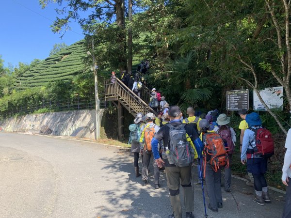 20250816嘉義鼠眉毛O繞2864065