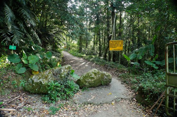 新竹 尖石 蓮包山、外鳥嘴山2914318