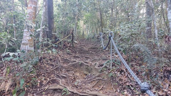 水社大山 水社主峰1597933