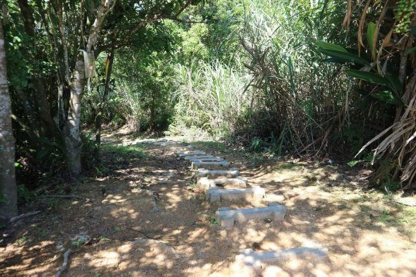 〔石碇〕鱷魚島🐊🐊🐊，晴空萬里下的萌萌淡碇鱷   最美。石碇 千島湖 土虱頭  永安景觀步道2213356