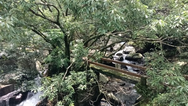三芝區龜子山橋-三板橋-大屯溪古道(殘念)去回3090811