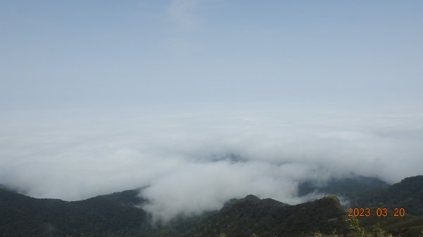 陽明山再見雲海，天空之城 ? 水淹金山寺 ? 3/202080065