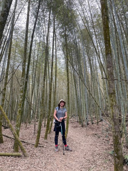 【忠の水社大山】~遠眺日月潭與群山-202302052063599