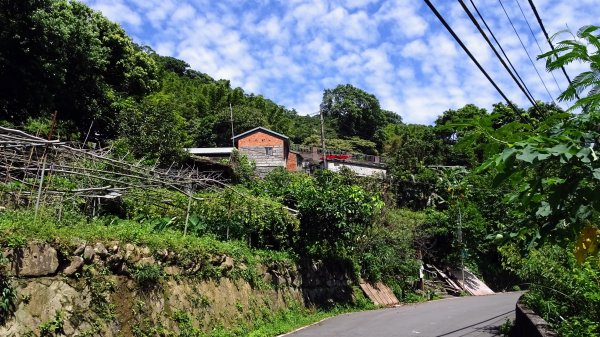 大崎頭步道,坪頂古圳,內雙溪古道,後湖底溪古道2275569