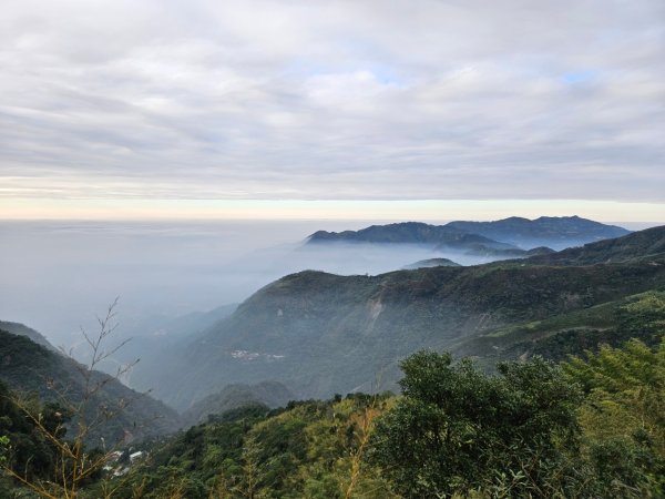 20241214竹崎15連峰(四大天王山到大湖尖山路況荒涼)2669005