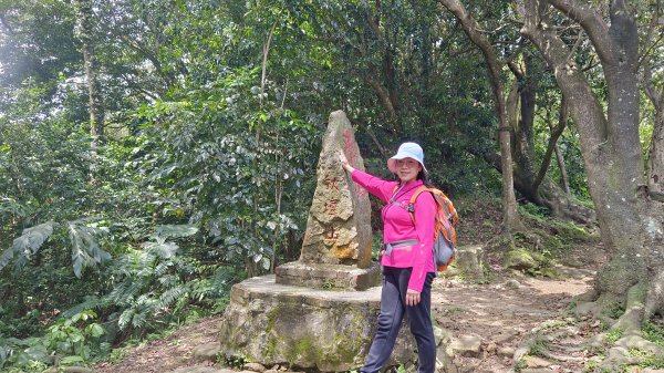 (姨婆趴趴走)第五十集:新北樹林大同山、青龍嶺、大棟山諸峰連走2751618
