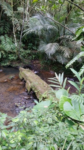 璀璨百年淡蘭古道～崩山坑古道、溪尾寮山、保城坑古道、虎豹潭步道O走1313454
