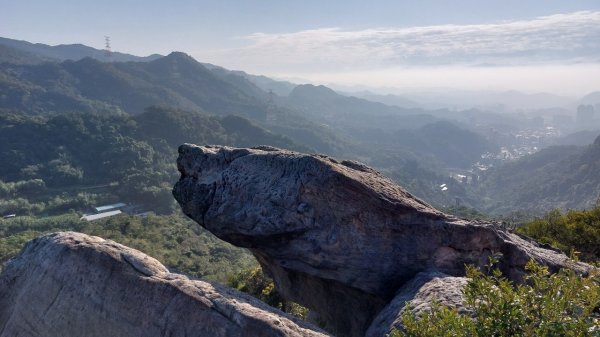 金面山剪刀石1657780