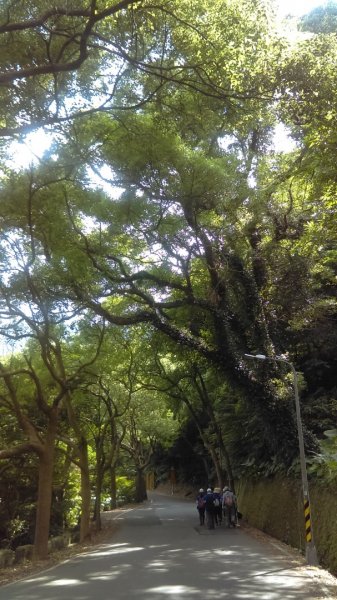 北投磺溪嶺景觀步道、磺溪溫泉步道 1051689