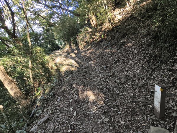 [玉山尋寶任務-07/12] 2025_0824 八通關雲龍瀑布步道2870542