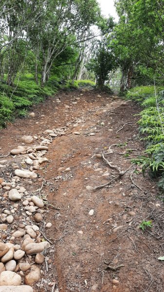 《苗栗》挑炭古道｜三通嶺探長潭坑山大坑尾山二連峰O繞202204171678407