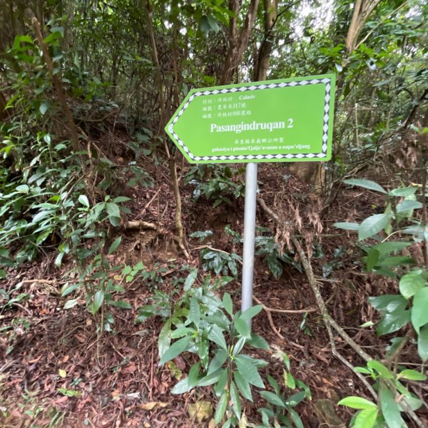 20251130_棚集山+斜坡上藝術節（屏東小百岳）2968594