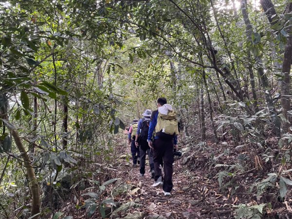 谷關七雄｜一日東屋縱走2923836