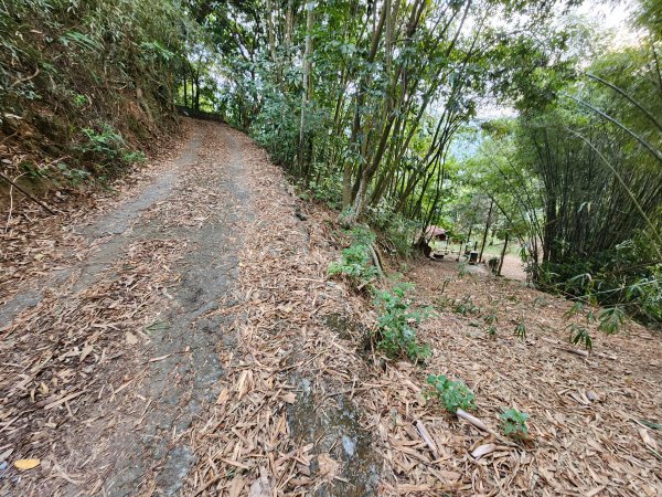 20241222二載山與大橫屏山南峰(追加鹽菜甕山、鹽菜甕下山)2721486