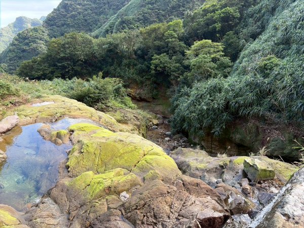 新北 瑞芳 禮樂-保羅尖-雙鬼小霸尖-石梯坑山-半屏瀑布-小錐麓-水管隧道-香巴拉隧道-半屏溪-禮樂2955487