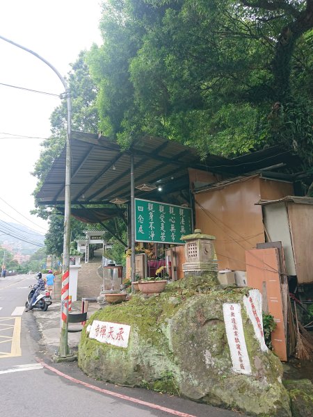 火焰山之桐花大爆發2483339