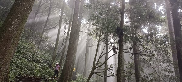 三峽三星之東眼山自導式步道-2024/09/21