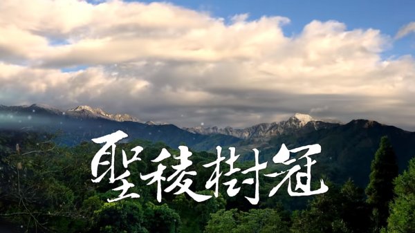 【影片】聖稜樹冠