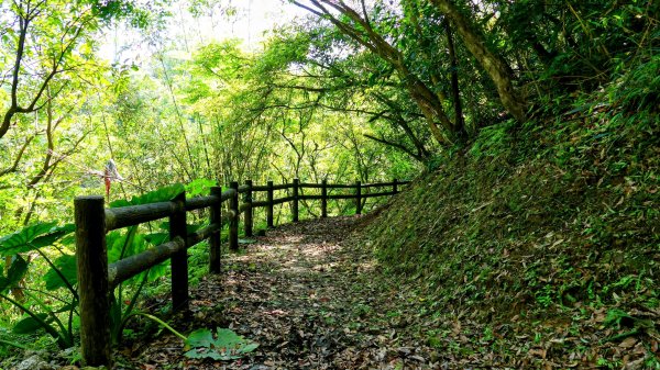 畝畝山。又上說2768120