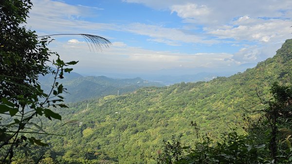 暗影山三進三出2366554