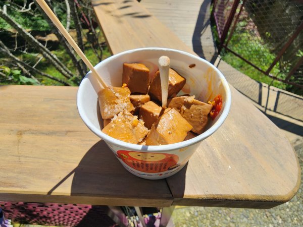 20251004雲頂之丘番子田山2927197