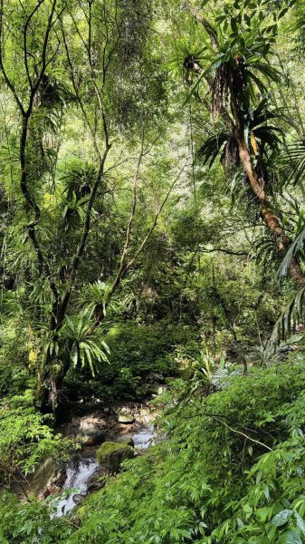 20250803枋山坑古道2850502