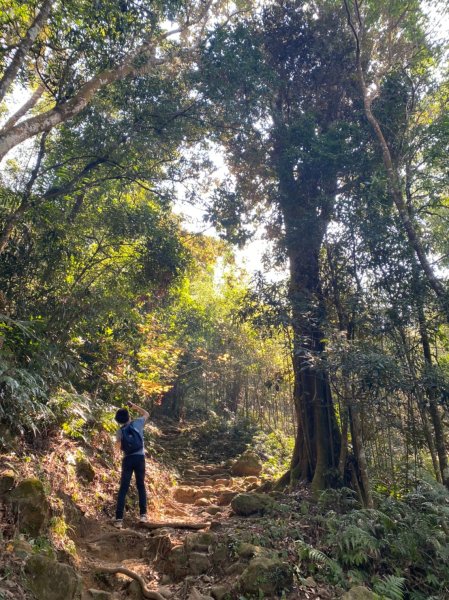 小百岳No.37⛰馬那邦山2440824