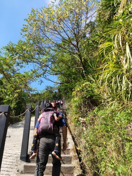 小百岳(43)-三汀山-20200123~【2020全家總動員~28分之03】1716060