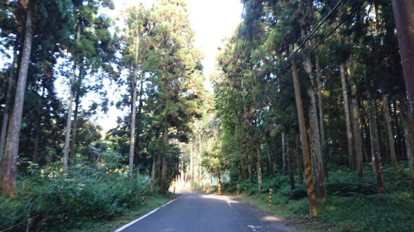 滿滿仙氣的向天湖山1107033