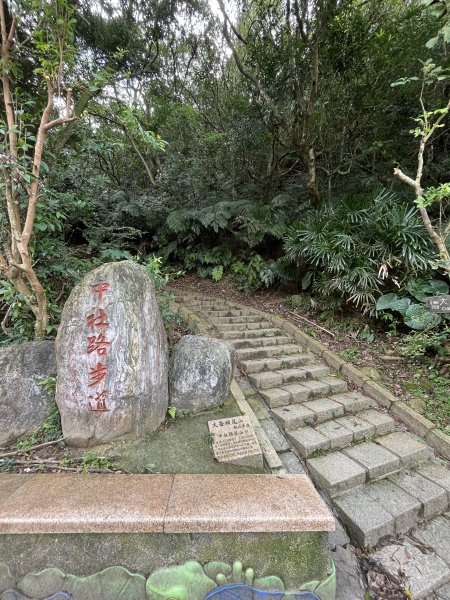 大崙頭尾山1951098